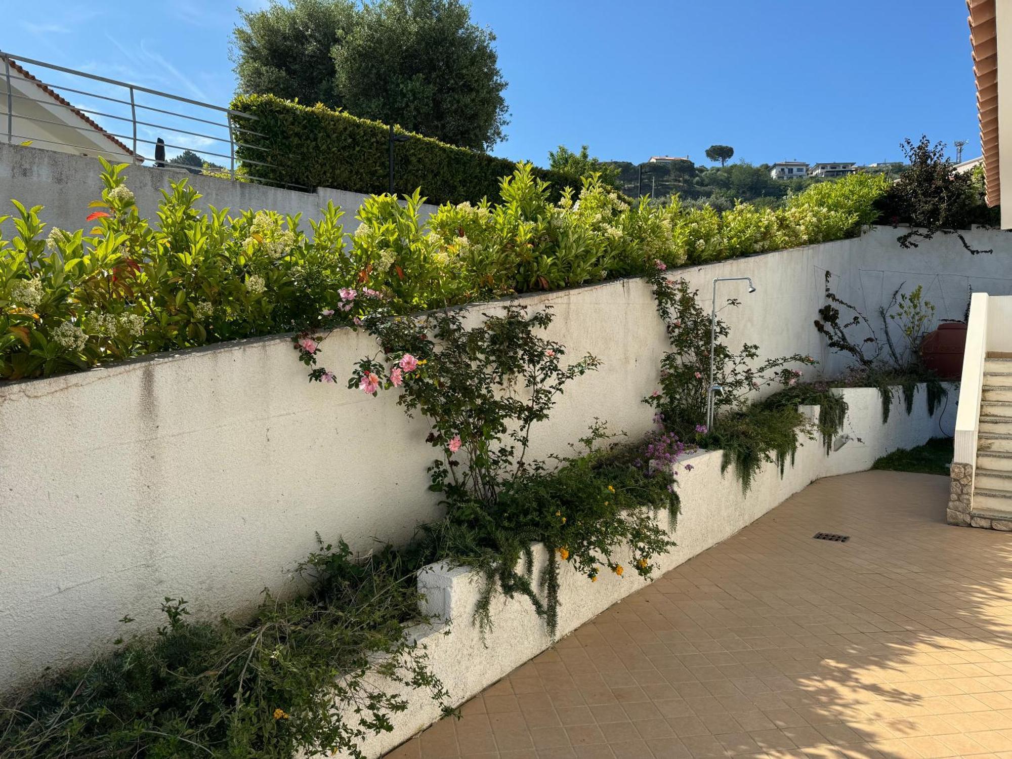 Villa Dei Fiori Zambrone Exterior foto