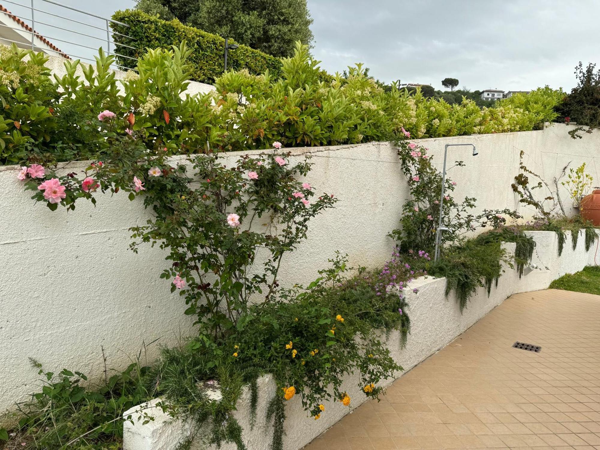 Villa Dei Fiori Zambrone Exterior foto